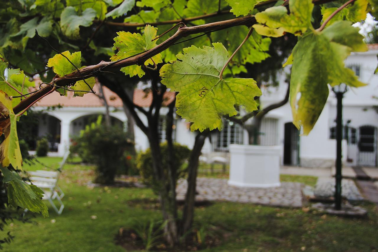 Chiara Lodge Chacras de Coria Luaran gambar